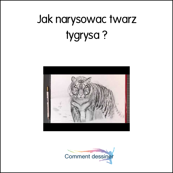 Jak narysować twarz tygrysa